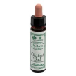 ainsworths chestnut bud 10ml