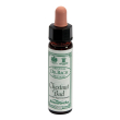ainsworths dr.bach n°7 chestnut bud aesculus hippocastanum 10 ml gocce