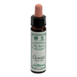 clematis 10ml ainsworths