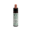ainsworths crab apple 10ml