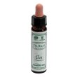 elm 10ml ainsworths