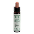 ainsworths gorse 10ml