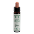 gorse 10ml ainsworths