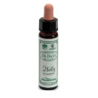 ainsworths holly 10ml