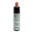 holly 10ml ainsworths