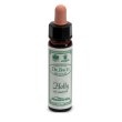 holly 10ml ainsworths
