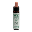 ainsworths dr.bach n°15 holly ilex aquifolium 10 ml gocce orali