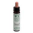 ainsworths honeysuckle 10ml