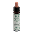 honeysuckle 10ml ainsworths