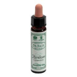 ainsworths hornbeam 10ml