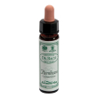 hornbeam 10ml ainsworths