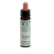 hornbeam 10ml ainsworths