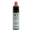 ainsworths impatients 10ml