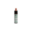 ainsworths impatients 10ml