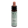 olive 10ml ainsworths