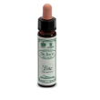 pine f bach 10ml (i3) ainswort
