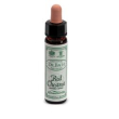 ainsworths red chestnut 10ml
