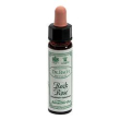 ainsworths rock rose 10ml