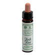 rock rose 10ml ainsworths