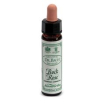rock rose 10ml ainsworths