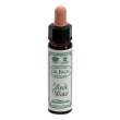ainsworths rock water 10ml