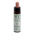 star bethleh 10ml ainsworths