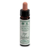 star bethleh 10ml ainsworths