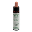 vervain 10ml ainsworths