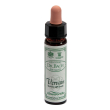 ainsworths dr.bach n°31 vervain verbena officinalis 10 ml gocce orali