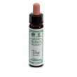 ainsworths vine 10ml