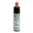 ainsworths vine 10ml