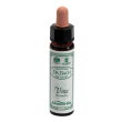 vine 10ml ainsworths
