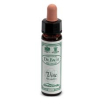 vine 10ml ainsworths