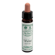 ainsworths walnut 10 ml