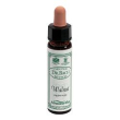 ainsworths walnut 10ml