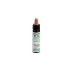 ainsworths walnut 10ml