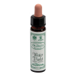 water violet 10ml ainsworths
