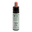 ainsworths wild oat 10ml