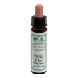 wild oat 10ml ainsworths