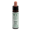 wild oat 10ml ainsworths