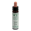 ainsworths wild rose 10ml