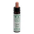 wild rose 10ml ainsworths