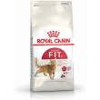 fit 32 - alimento completo per gatti domestici 10 kg