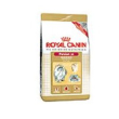 royal canin gatto persian adult 400gr