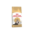 adult persian - cibo secco per gatti 2 kg