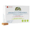 angelica loranthus 60cps