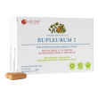 bupleurum e angelica 60cp laodan