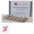 bupleurum angelica 60 capsule