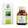 erbex boswellia integratore alimentare articolazioni 100 capsule