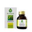 erbex boswellia - integratore alimentare 100 capsule da 350mg - sostegno per la funzionalità artico